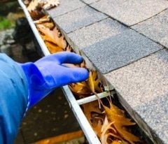 gutter cleaning